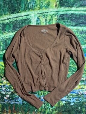 Hollister Brown Button-Front Long Sleeve Crop Top
